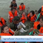 “ฤดูกาลเก็บหอย”-สำรวจทรัพยากรลุ่มน้ำทะเลสาบสงขลา-ข่าวใต้แลไ