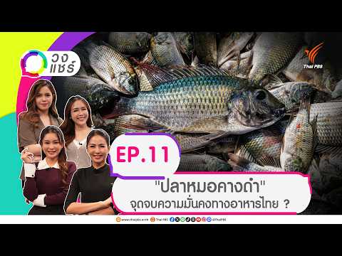 วงแชร์ ตอนที่.11 “ปลาหมอคางดำ” จุดจบความมั่นคงทางอาหารไทย ? 9 ก.ย. 69