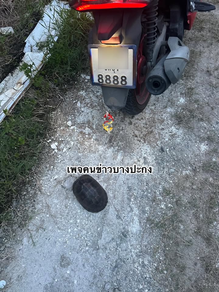 พี่วิ่งตัดหน้าแอดทำไม-ดีนะเบรคทัน-โชคดีไป-(feed--w-|-2026-09-09-11:32:00