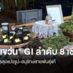 เกษตรกร-ตโป่งแยง-จ.เชียงใหม่-วางแผนอนุรักษ์สายพันธุ์มะแขว่น