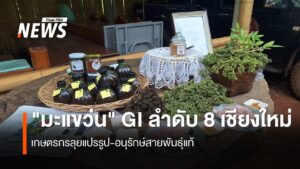 เกษตรกร-ตโป่งแยง-จ.เชียงใหม่-วางแผนอนุรักษ์สายพันธุ์มะแขว่น