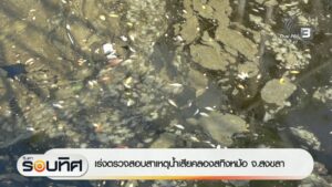 เร่งตรวจสอบสาเหตุน้ำเสีย-คลองสทิงหม้อ-จ.สงขลา-ข่าวใต้แลได้ท