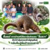 ðððð-:-ชื่นชม-ชาวบ้านศรีสัชนาลัยส่งมอบ-“ลิ่นชวา”-สัตว์ป่าค