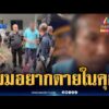 ด่วน จับพี่ชายแค้นน้องสาวทวงเงินยิvเจ็บ-บอกอยากเสียชีวิตในคุก | ข่าวเที่ยงอมรินทร์ 15 ก.ย. 69