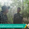 สัมผัสวิถีหาปูเปี้ยวบ้านหน้าทับ-จ.นครศรีธรรมราช-ข่าวใต้แลได