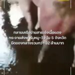ทลายเครือข่ายสารเร่งเนื้อแดง-กระจายส่งฟาร์มหมู-วัว-ใน-5-จังห