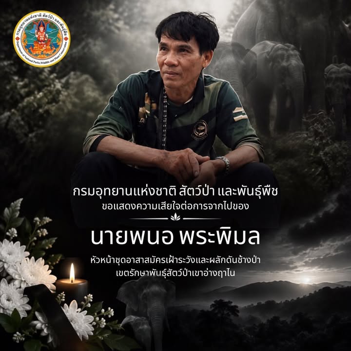 กรมอุทยานแห่งชาติ-สัตว์ป่า-และพันธุ์พืช-ขอแสดงความเสียใจต่อ