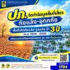 ไม่ใช่สาย-recordsdata-prognosis-ก็ดูได้…รู้พื้นที่เสี่ยงไว้ปลอดภั