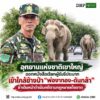 ðððð-:-อุทยานแห่งชาติเขาใหญ่-ออกหนังสือเรียกผู้ขับขี่ประมาทเ