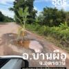 -ชาวบ้านอำเภอบ้านผือ-จ.อุดรธานี-สุดงง-อยู่ๆ-มีต้นกล้วยเกิดข