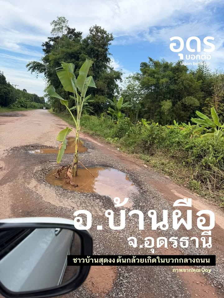 -ชาวบ้านอำเภอบ้านผือ-จ.อุดรธานี-สุดงง-อยู่ๆ-มีต้นกล้วยเกิดข