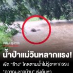 ระทึก