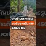 อัญเชิญพระพุทธรูปประดิษฐานเนิน 450 – เนิน 255