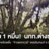 ปรับ-1-หมื่น-นักท่องเที่ยวต่างชาติ-ถ่ายภาพพรีเวดดิ้ง-“ข้าวตอกฤาษี”-ด