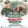 ðððð-:-อธิบดีกรมอุทยานแห่งชาติ​-สั่งเร่งติดตามช่วย-พลายงาบิด-ช้าง