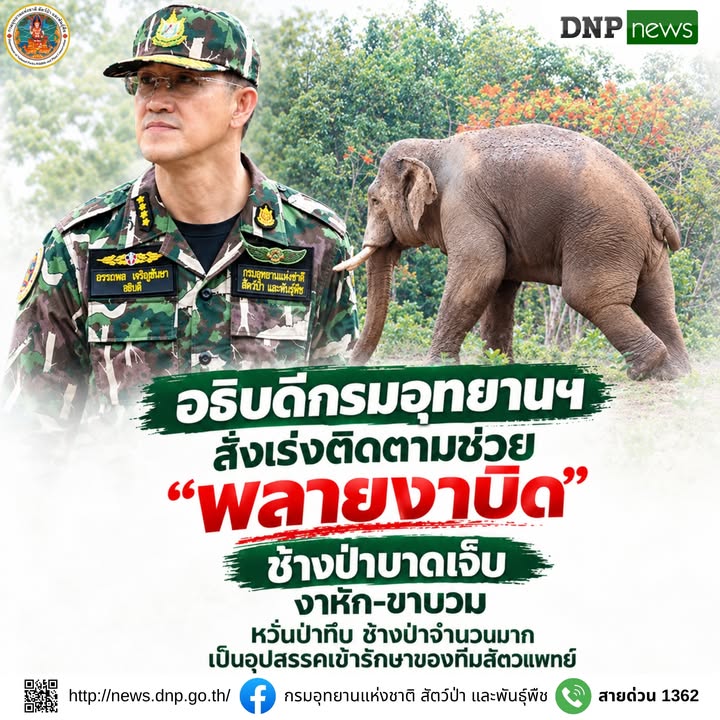 ðððð-:-อธิบดีกรมอุทยานแห่งชาติ​-สั่งเร่งติดตามช่วย-พลายงาบิด-ช้าง