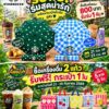 starbucks-แจกร่ม-|-cafe-amazon-แจกกระเป๋า-สาย-starbucks-ไ
