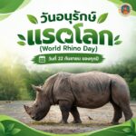 -22-กันยายน-วันอนุรักษ์แรดโลก-(world-rhino-day)-️-วั