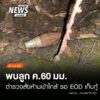 (22/9/69)-…ตำรวจ-สภปาย-จ.แม่ฮ่องสอน-ร่วมกับทหาร-ฝ่ายปกครอ
