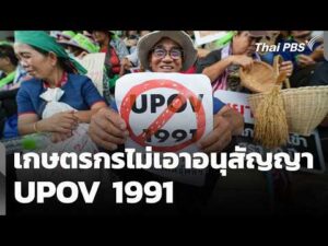 เกษตรกรไม่เอาอนุสัญญา UPOV 1991