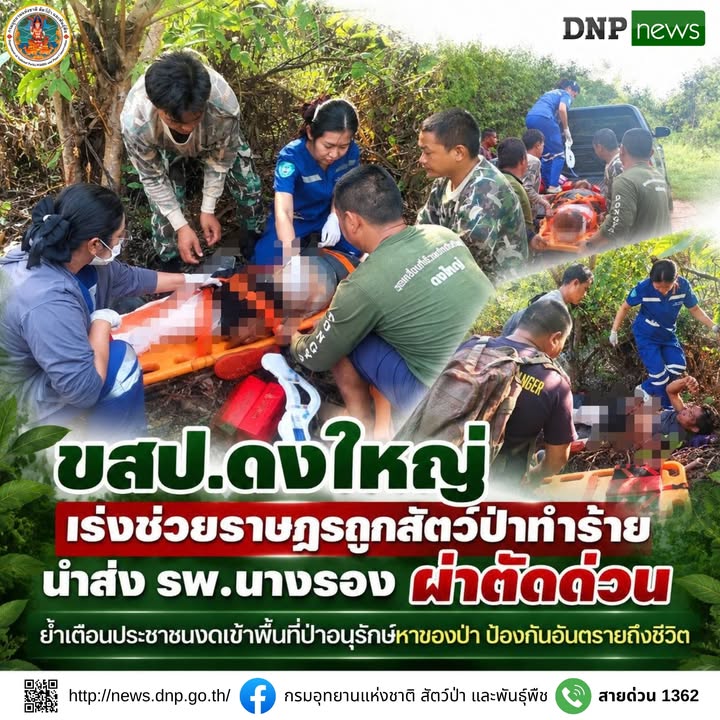 ðððð-:-ขสป.ดงใหญ่-เร่งช่วยราษฎรถูกสัตว์ป่าทำร้าย-นำส่ง-โรงพยาบาลนา