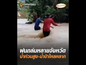 ฝนถล่มหลายจังหวัด น้ำท่วมสูง-น้ำป่าไหลหลาก อัพเดทข่าว