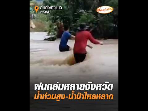 ฝนถล่มหลายจังหวัด น้ำท่วมสูง-น้ำป่าไหลหลาก อัพเดทข่าว