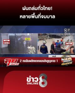 เฝ้าระวัง