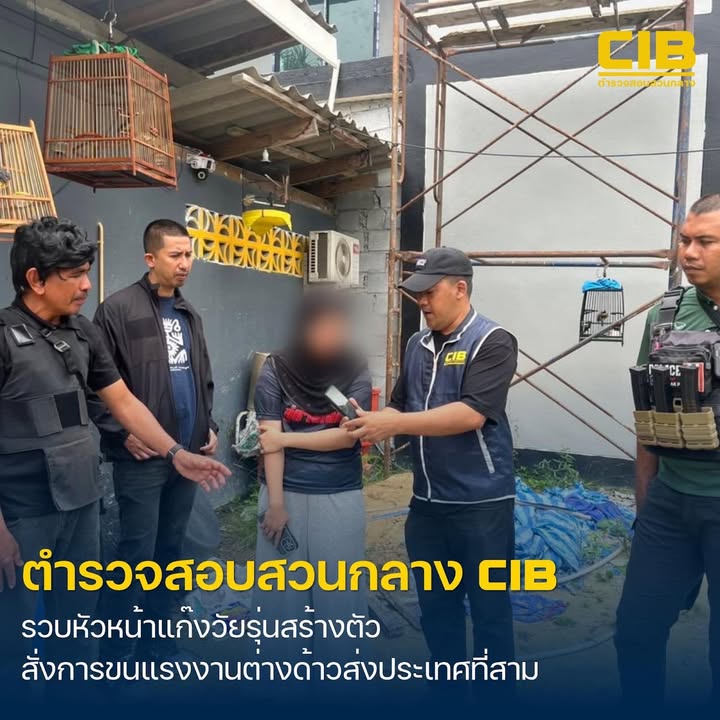 รวบ-หัวหน้าแก๊งวัยรุ่นสร้างตัว-สั่งการขนแรงงานต่างด้าว-ส่ง