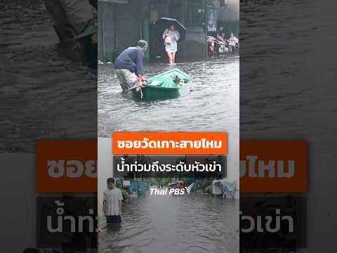 ซอยวัดเกาะสายไหม น้ำท่วมถึงระดับหัวเข่า ð shotsThaiPBS