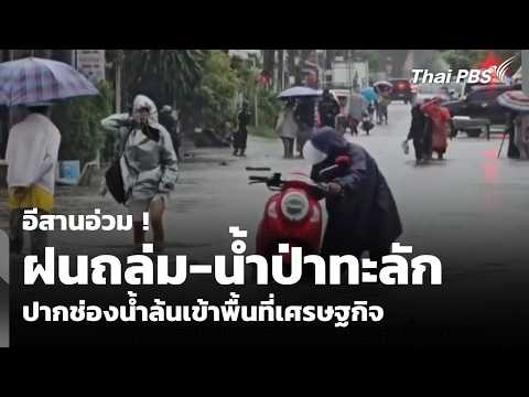 อีสานอ่วม ฝนถล่ม-น้ำป่าทะลัก ปากช่องน้ำล้นเข้าพื้นที่เศรษฐกิจ | ข่าวค่ำ 26 ก.ย. 69