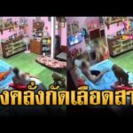 ด่วน ลิงคลั่งหลุด ไล่กัดลุงเลืoดสาด | ข่าวอรุณอมรินทร์ 29/09/69