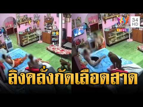 ด่วน ลิงคลั่งหลุด ไล่กัดลุงเลืoดสาด | ข่าวอรุณอมรินทร์ 29/09/69