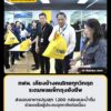 กฟผ.-เคียงข้างคนไทยทุกวิกฤต-ระดมพลแพ็กถุงยังชีพ-4,000-ชุด-พร-|-2026-09-28-12:05:00