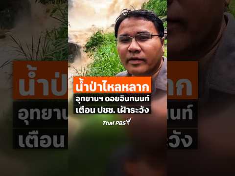 น้ำป่าไหลหลาก อุทยานแห่งชาติ ดอยอินทนนท์ จ.เชียงใหม่ เตือน ประชาชน เฝ้าระวัง (29 ก.ย. 69) ThaiPBS