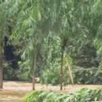 ðððð-:-เขตรักษาพันธุ์สัตว์ป่าเขาอ่างฤๅไน-เผยข่าวดี-พังชูใจ