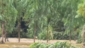 ðððð-:-เขตรักษาพันธุ์สัตว์ป่าเขาอ่างฤๅไน-เผยข่าวดี-พังชูใจ