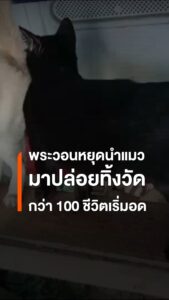 พระลำปางวอนหยุดนำแมวมาทิ้งวัด-หลังดูแลกว่า-100-ชีวิตไม่ไหว-พ