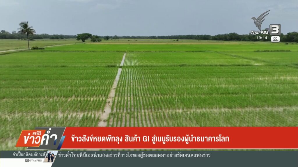 ข้าวสังข์หยดพัทลุง-สินค้า-gi-สู่เมนูรับรองผู้นำธนาคารโลก-ข่