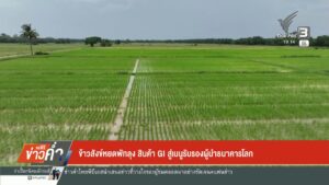 ข้าวสังข์หยดพัทลุง-สินค้า-gi-สู่เมนูรับรองผู้นำธนาคารโลก-ข่