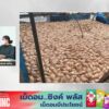 live-fm91-เที่ยงวันเดินทาง-:-13-ตุลาคม-2569-fm91-เที่ยงวันเด-|-2026-10-13-05:30:00