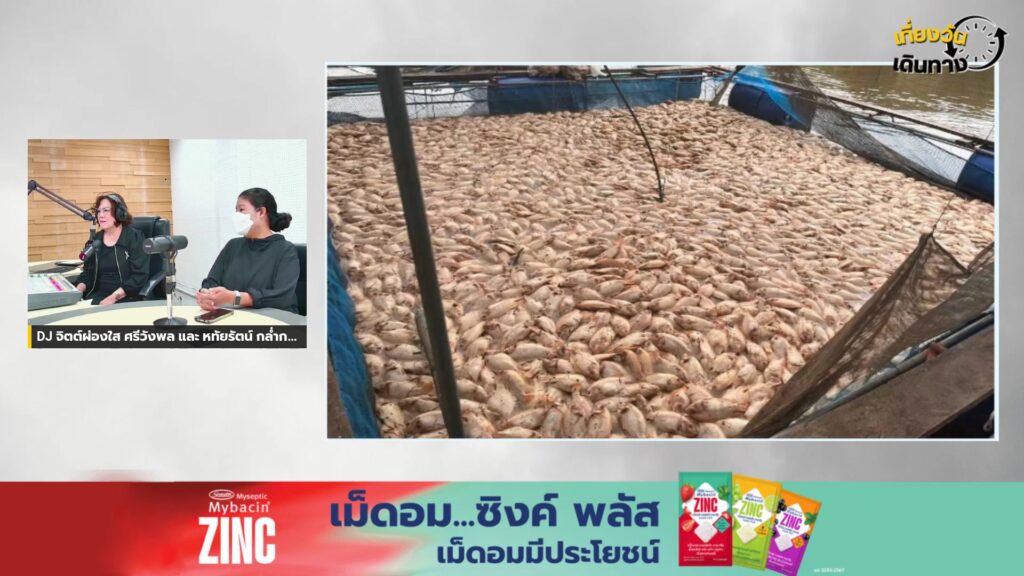 live-fm91-เที่ยงวันเดินทาง-:-13-ตุลาคม-2569-fm91-เที่ยงวันเด-|-2026-10-13-05:30:00
