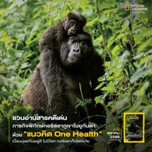 ทำความรู้จัก-แนวคิดสุขภาพหนึ่งเดียว-(one-successfully-being)-แนวทางใหม