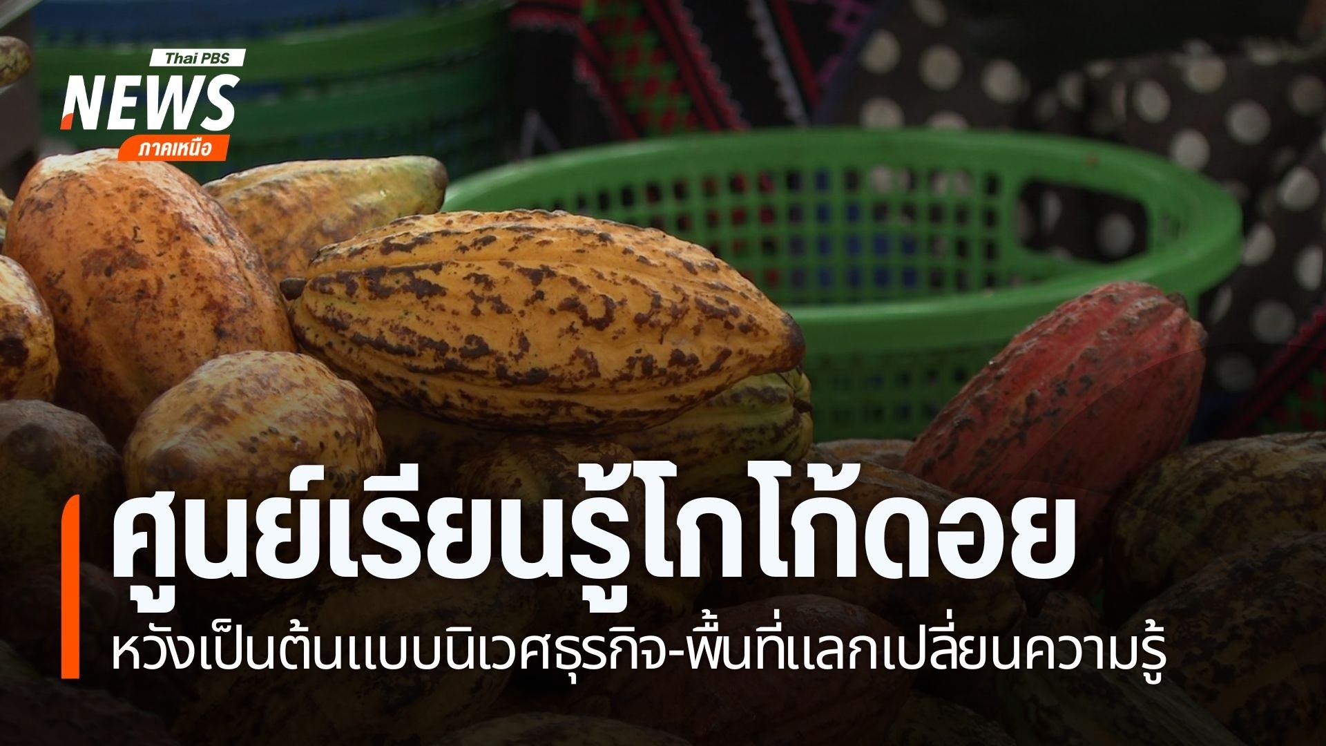 อดีตพยาบาลวิชาชีพชาวชาติพันธุ์ลีซูใช้ความรู้ด้านสุขภาพผสานวิ