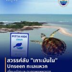 ️-||เรื่องเล่าขอบเรือ||-️เปิดมุมมองเบื้องหลังภารกิจของคนทำ