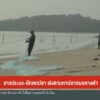 ชาวประมง-นักตกปลา-เร่งตามหาปลาหมอคางดำ-ข่าวใต้แลได้ที่เรา-#