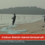 ชาวประมง-นักตกปลา-เร่งตามหาปลาหมอคางดำ-ข่าวใต้แลได้ที่เรา-#