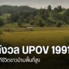กระแสความตื่นตัวผลกระทบการเข้าร่วมอนุสัญญา-upov-1991-ว่าด้วย