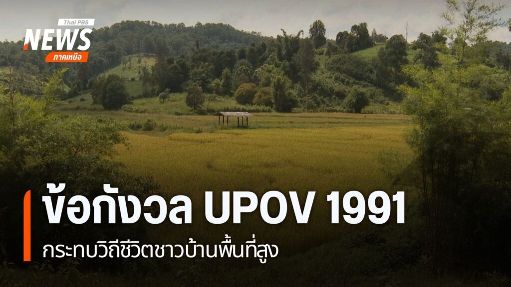 กระแสความตื่นตัวผลกระทบการเข้าร่วมอนุสัญญา-upov-1991-ว่าด้วย