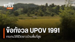 กระแสความตื่นตัวผลกระทบการเข้าร่วมอนุสัญญา-upov-1991-ว่าด้วย